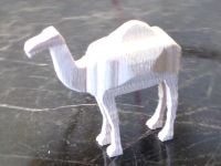 3D Camel