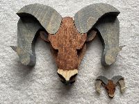 Rams Head Scroll Saw / Bandsaw Patt