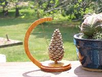 Fire Safety Pine Cone 1