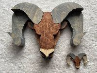 Rams Head Scroll Saw / Bandsaw Patt